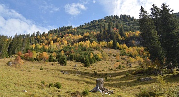 Goldener Herbst