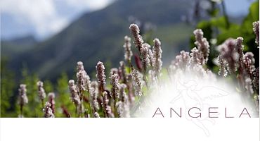 Sommer in der ANGELA