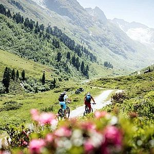 Mountainbike 2